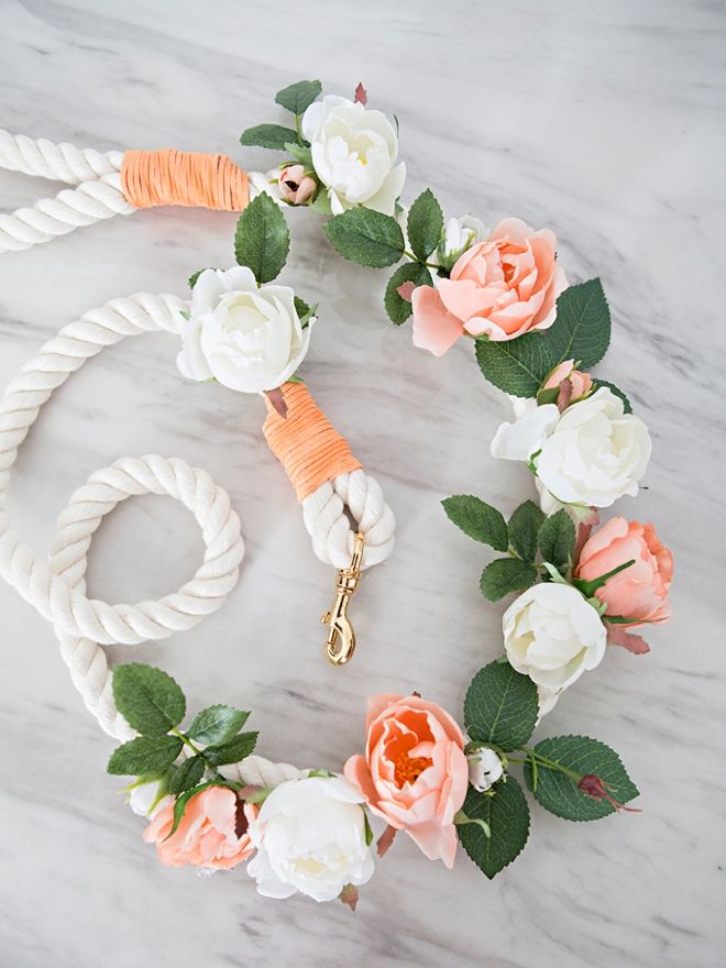 dog leash for wedding