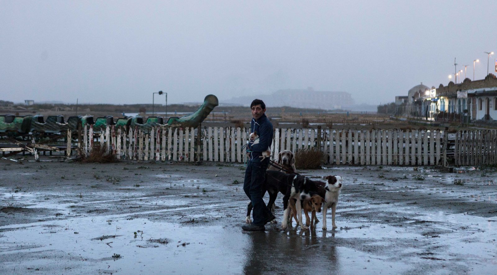 Perché Dogman è Un Gran Film Sullitalia Di Oggi
