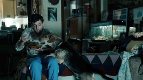 Perché Dogman è Un Gran Film Sullitalia Di Oggi