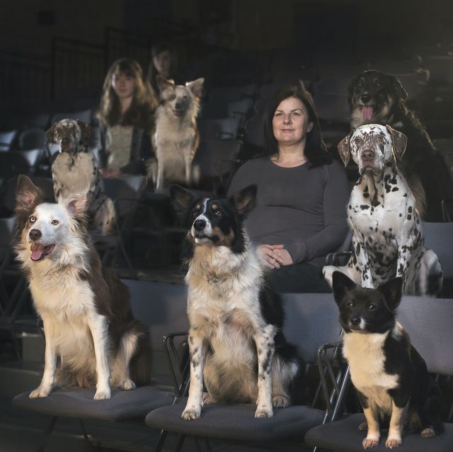 dogs and people at the theatre