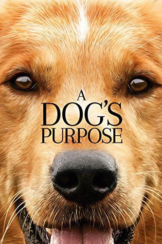 20 Best Dog Movies To Watch Best Movies About Dogs To Stream