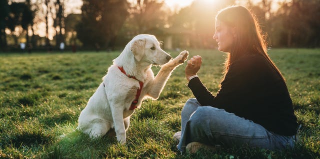 "Woman and Dog: A Love Story" Lonely pet Owner