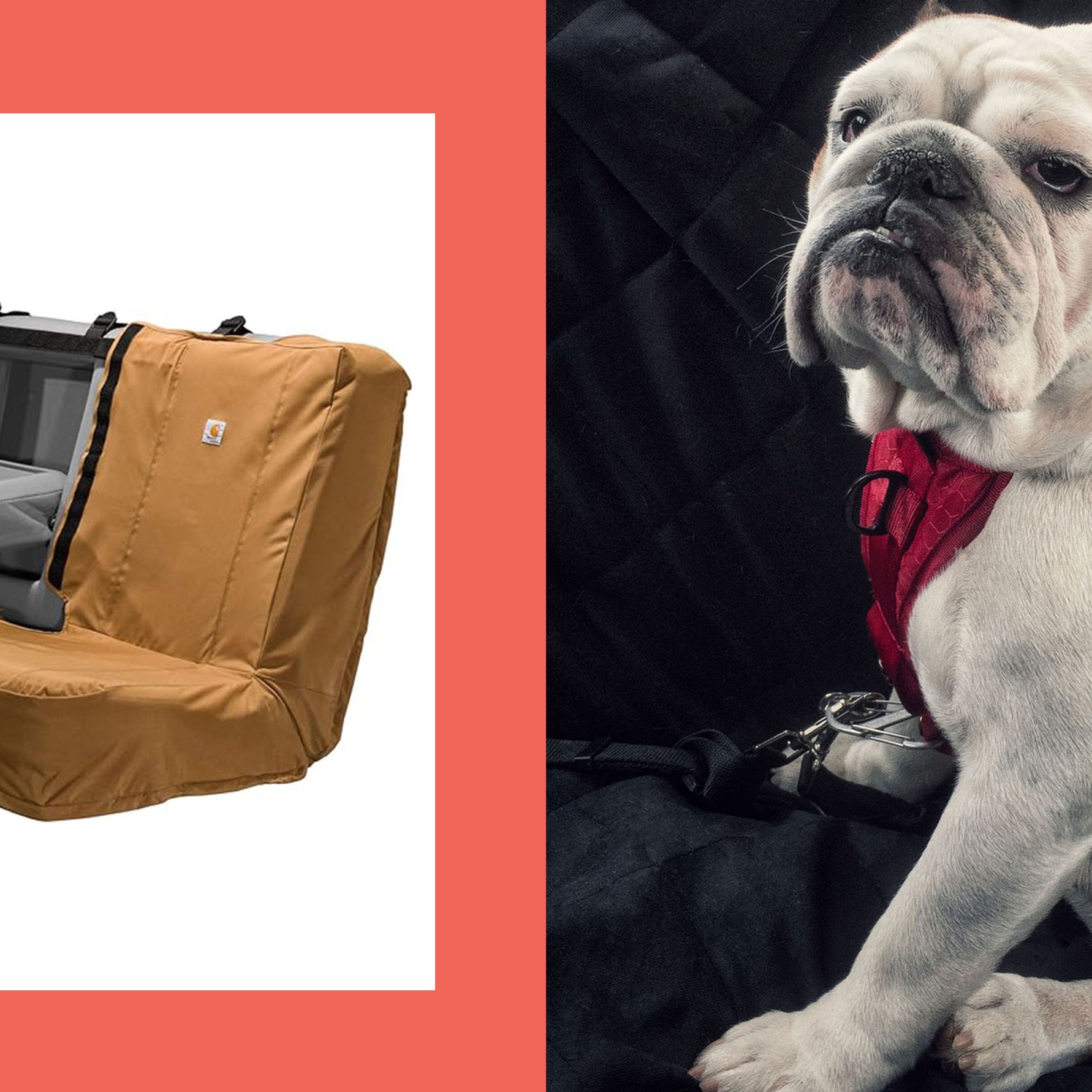 Hop In, Pup: Our Favorite Car Seat Covers for Pet Owners