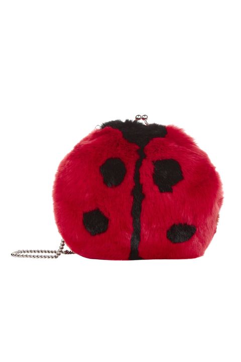 Red, Coin purse, Fur, Pink, Insect, Fashion accessory, Bag, Coquelicot, Plush, 