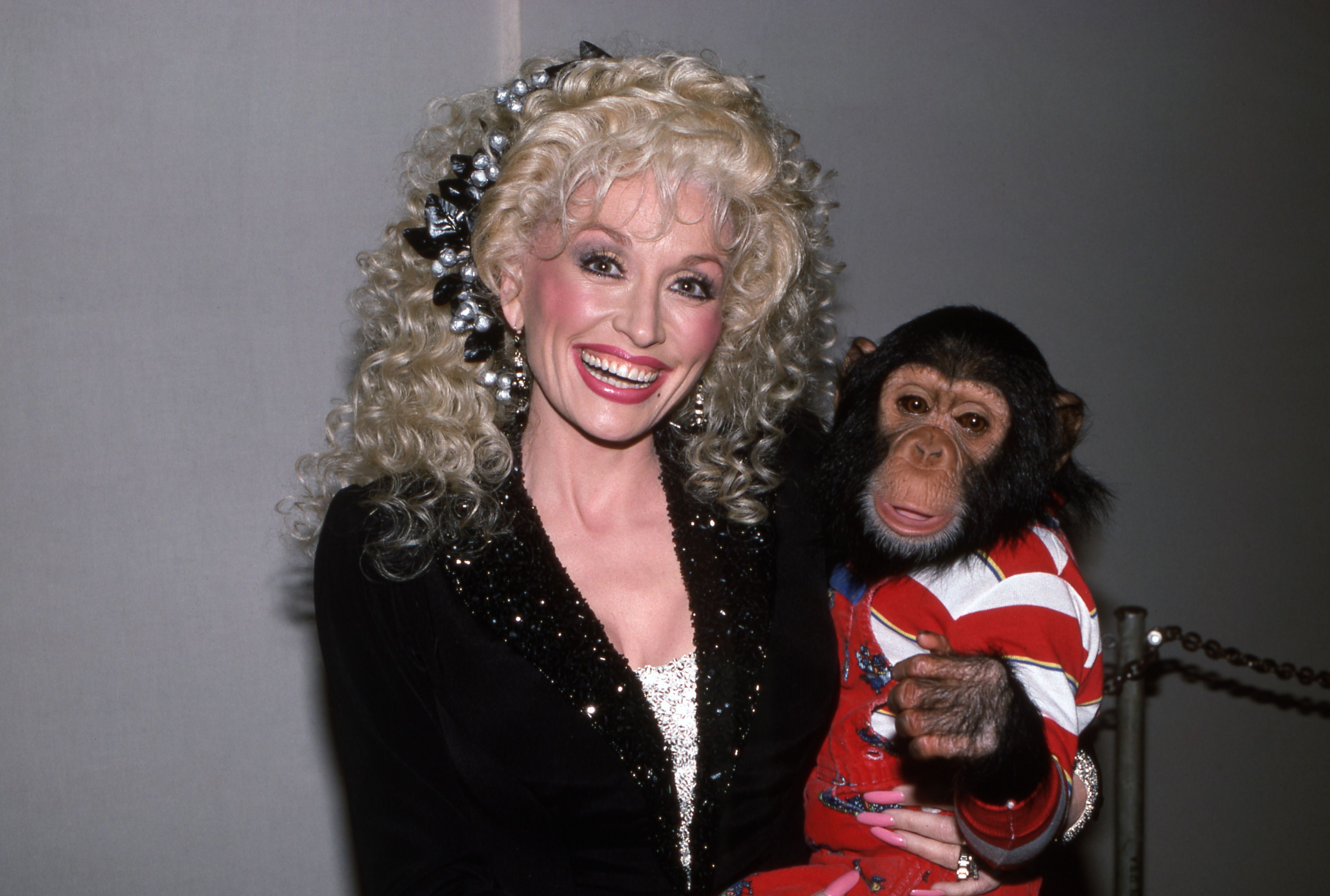 monkey with a blonde wig