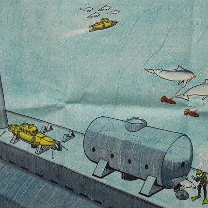 The CIA Once Wanted to Use Dolphins to Sink Enemy Ships