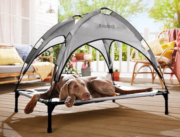 Lidl is selling a dog bed with a sun shade ready for the heatwave