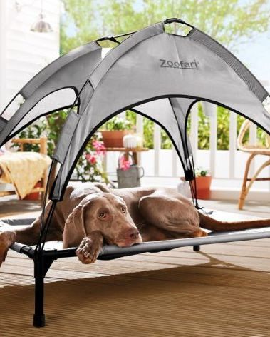 Dog Bed With A Sun Shade, Outdoor Dog Bed With Canopy Uk