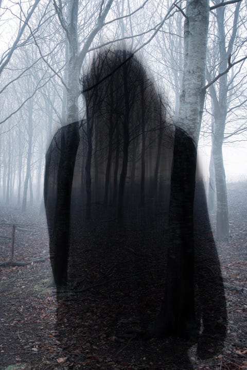 A double exposure of a ghostly semi transparent woman. over layered a moody misty forest in winter. a double exposure of a ghostly semi transparent woman over layered a moody misty forest in winter