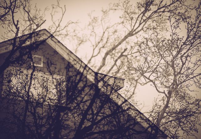 double exposure of bare trees and house