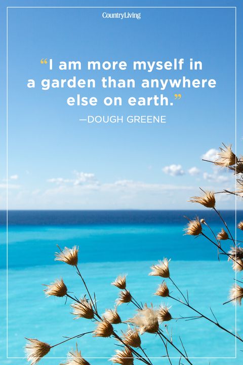 24 Best Summer Quotes And Sayings Inspirational Quotes About Summer