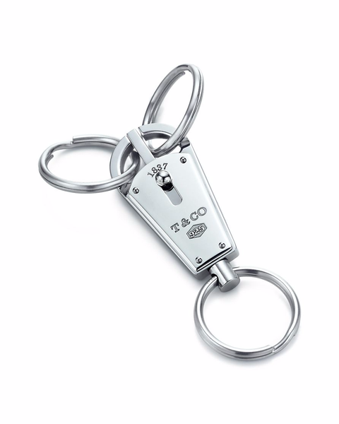 Keychain, Fashion accessory, Material property, Metal, Font, Platinum, Silver, Silver, 