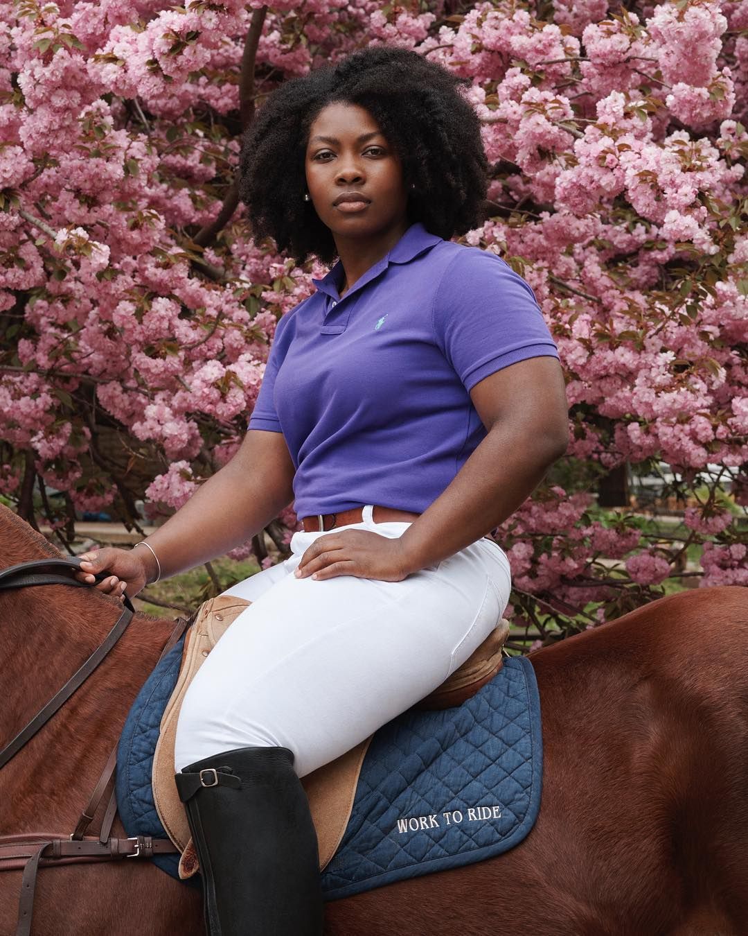 black polo shirt with purple horse