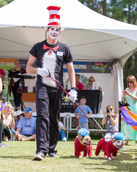 naples, florida, united states   october 25, 2015  a man dressed up as the character cat in a hat with his two french bulldogs, walk the outdoor runway at the collier county humane societys strut you mutt event