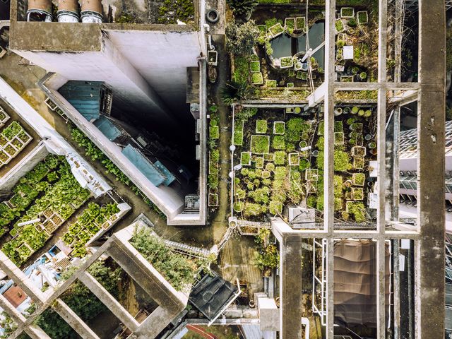 drone point view of vegetable garden on the rooftop