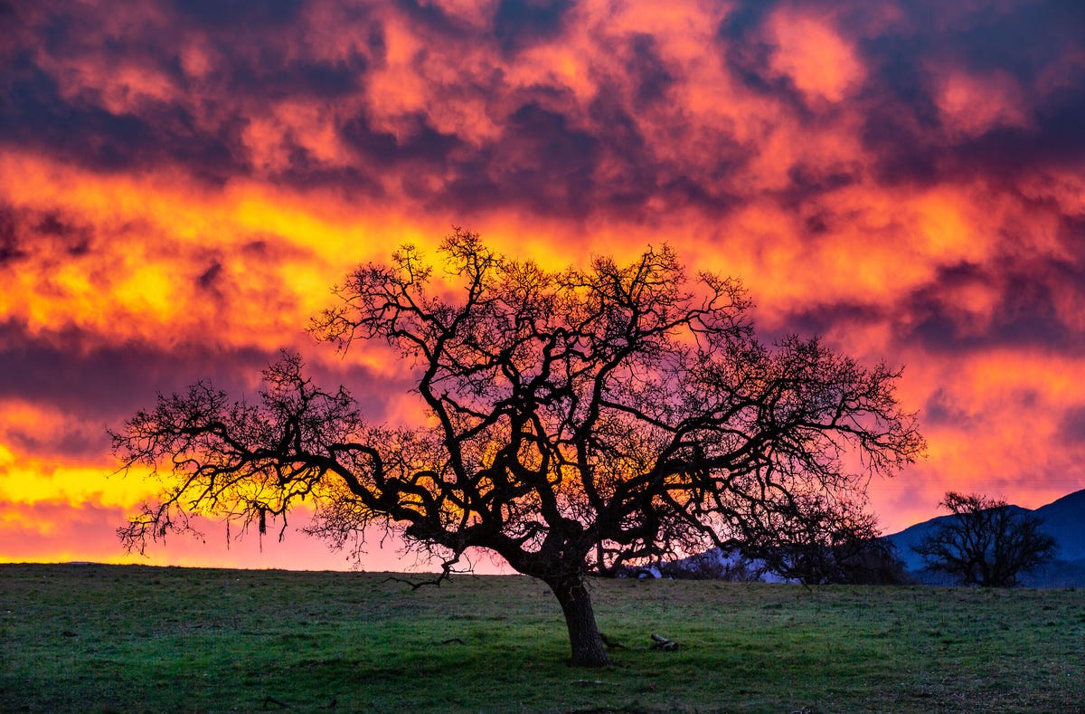The American West Is Likely Too Far Gone to Return to the Way It WasThe term "aridification" has far different implications than "drought." By C...
