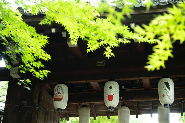 京都　高台寺に吊るされているおばけ提灯