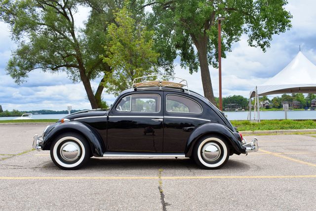 volkswagen beetle side profile in front of a lake