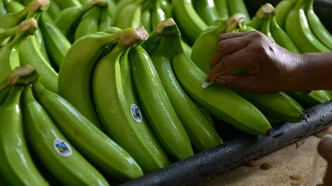 sticker op groene bananen keurmerk
