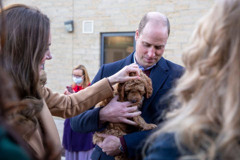 Duchess of Cambridge with Cockapoo puppies