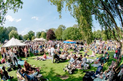Crowd, People, Event, Community, Photography, Grass, Tree, Spring, Lawn, Party, 