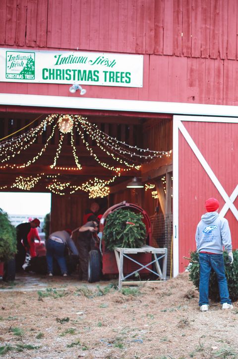 50 Best Christmas Tree Farms In America - Christmas Tree Farms Near Me