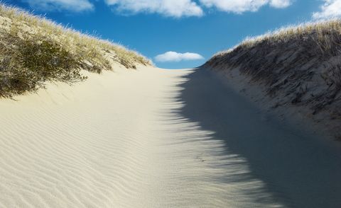 Dune Path Cape Cod