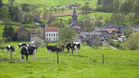 dutch countryside