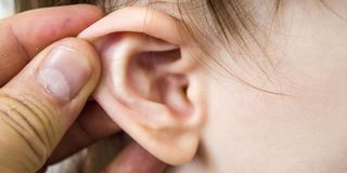Ear Nose and Throat - Conditions | NetDoctor