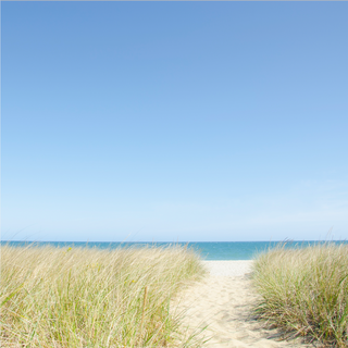 best east coast beaches