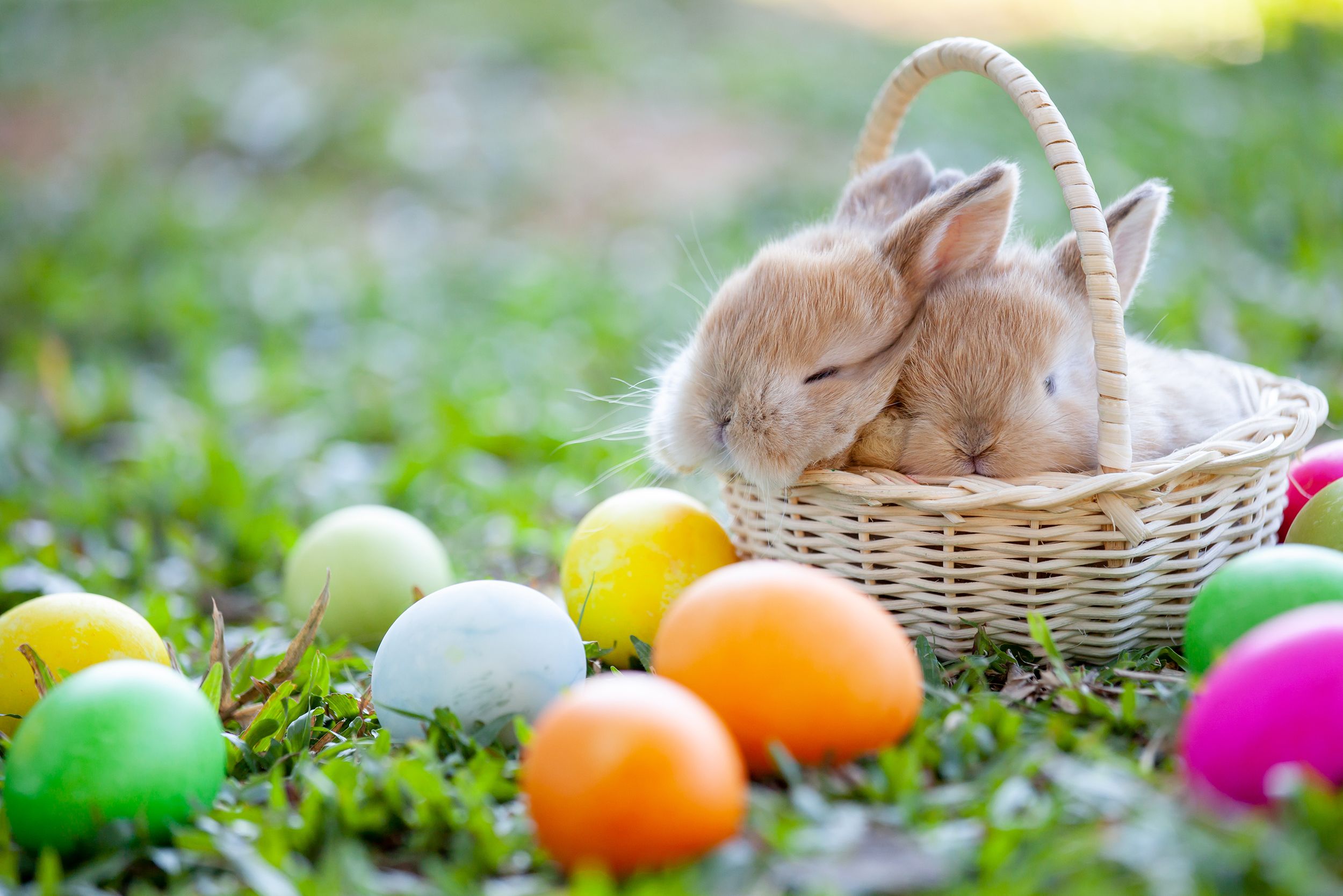 Easter 2021: When is Easter bank holiday weekend?