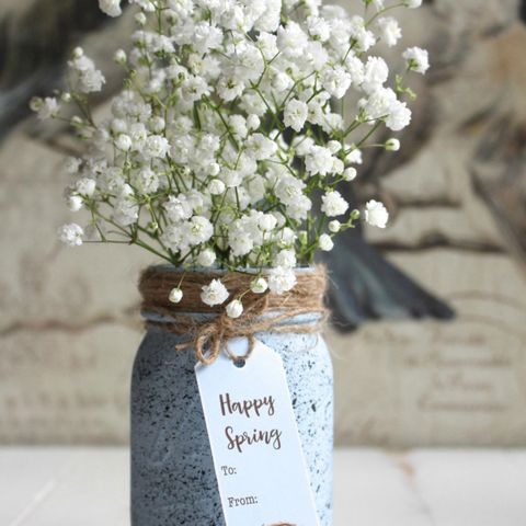 White, Flower, Cut flowers, Bouquet, Vase, Mason jar, Plant, Flowerpot, Artificial flower, Spring, 