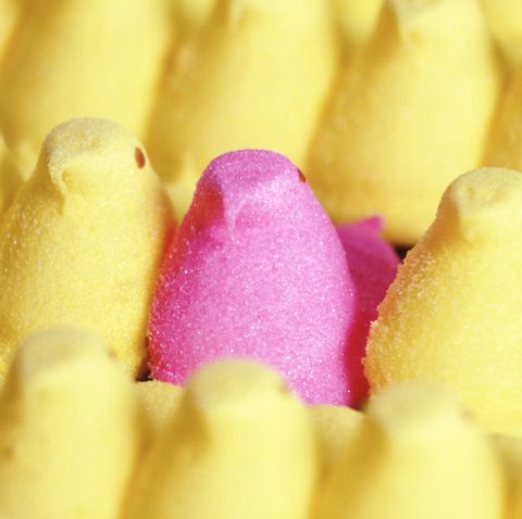 Easter Facts Marshmallow Yellow Pink Peeps Candy in Rows