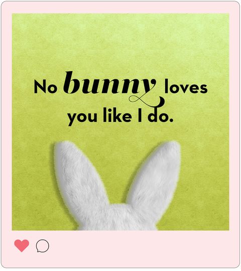 eater instagram captions  no bunny loves you like i do