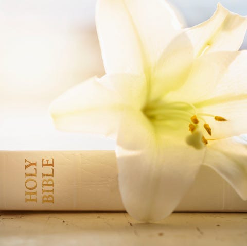 Close up of Bible and lily flower easter prayers bible lily