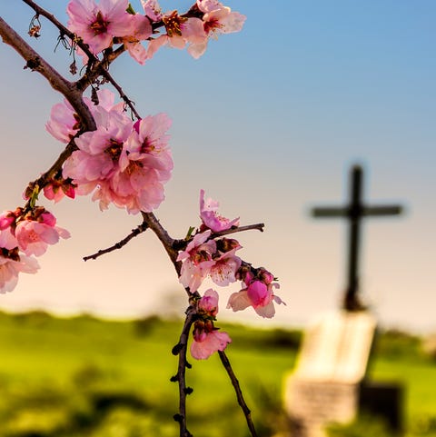 easter prayers flowers easter prayers flowers