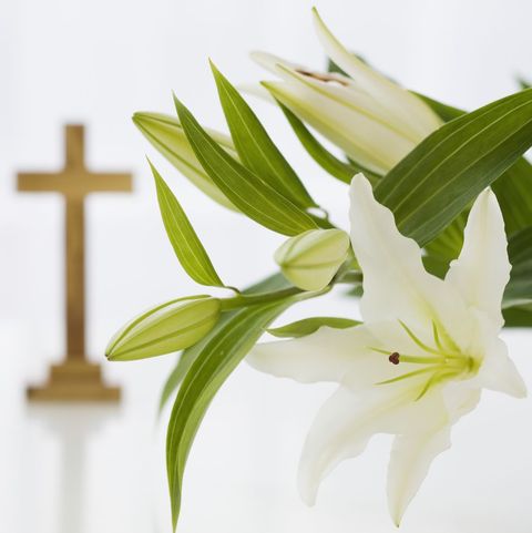 easter prayers easter lillies