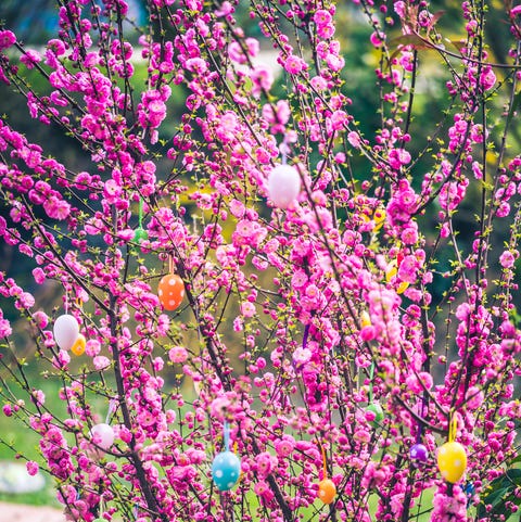 easter prayers pink tree easter prayers pink tree