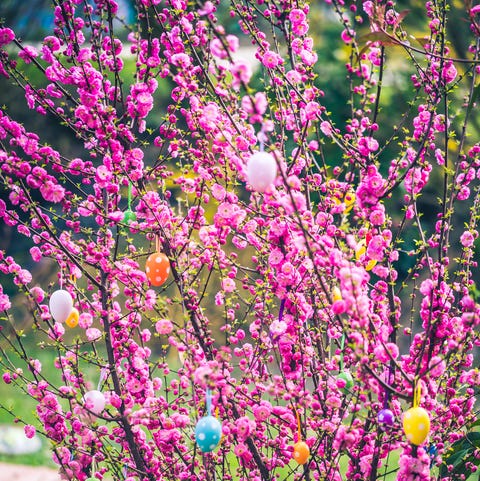 easter prayers pink tree