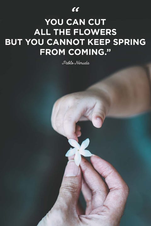 easter quotes easter quotes