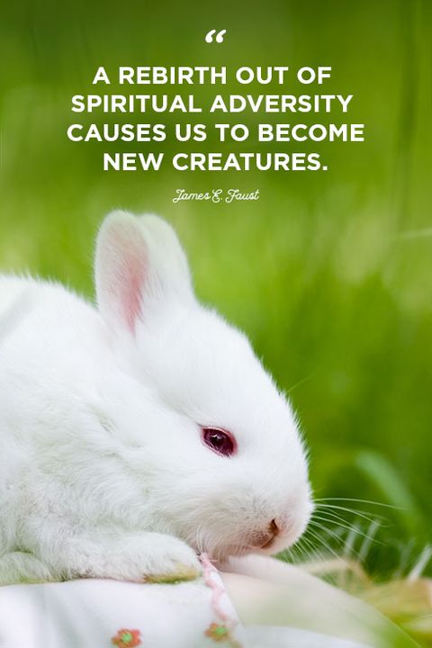 Easter quotes a rebirth out of