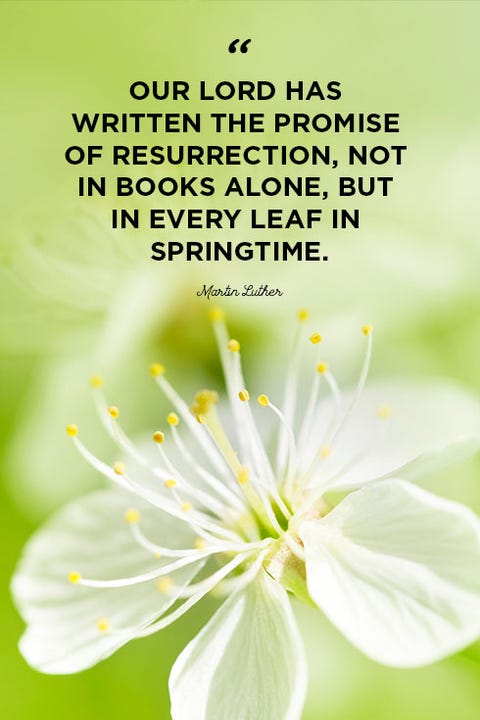 Easter quotes our lord has written Easter quotes our lord has written
