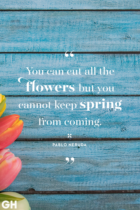 45 Best Easter Quotes - Famous Sayings About Hope and Spring