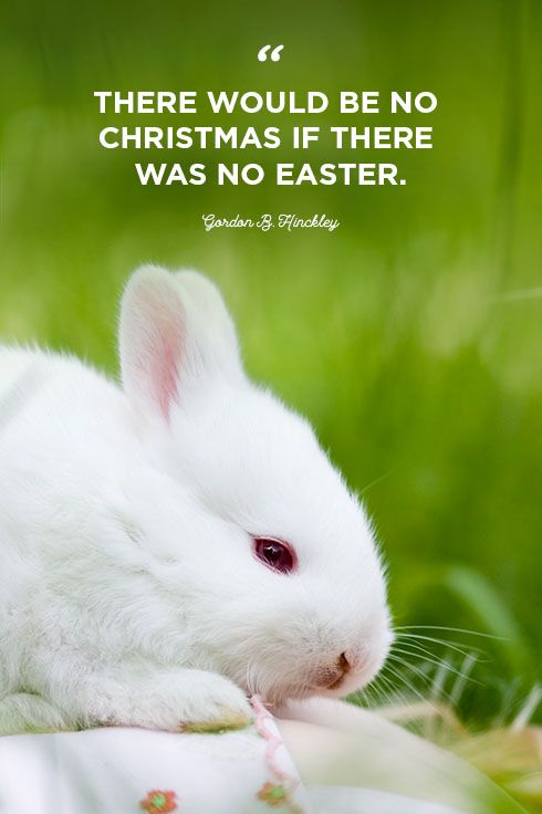 62 Best Easter Quotes 2021 - Inspiring Sayings About Hope And New Life