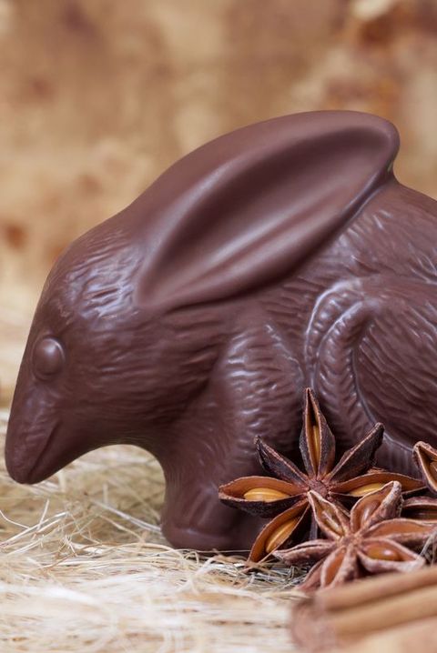 easter traditions around the world australia chocolate easter bilby