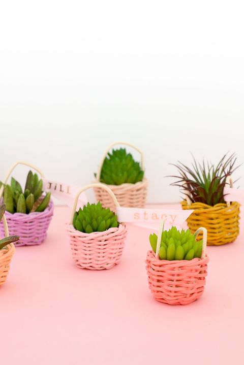 easy easter crafts mini succulent easter basket
