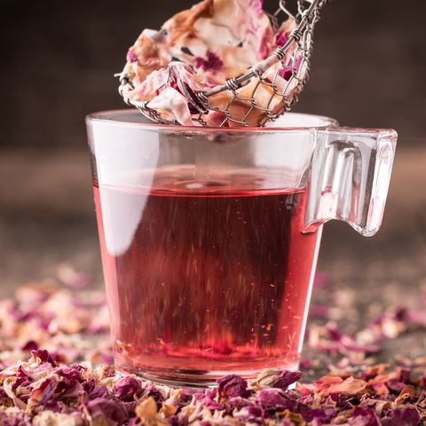 best tea for colds echinacea