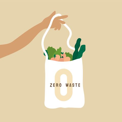 eco bag and quote zero waste