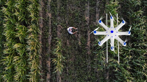 Farmer spraying his crops using a drone farmer spraying his crops using a drone