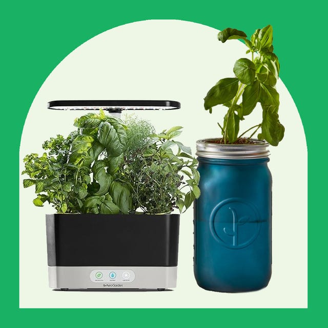 best indoor herb gardens best indoor herb gardens